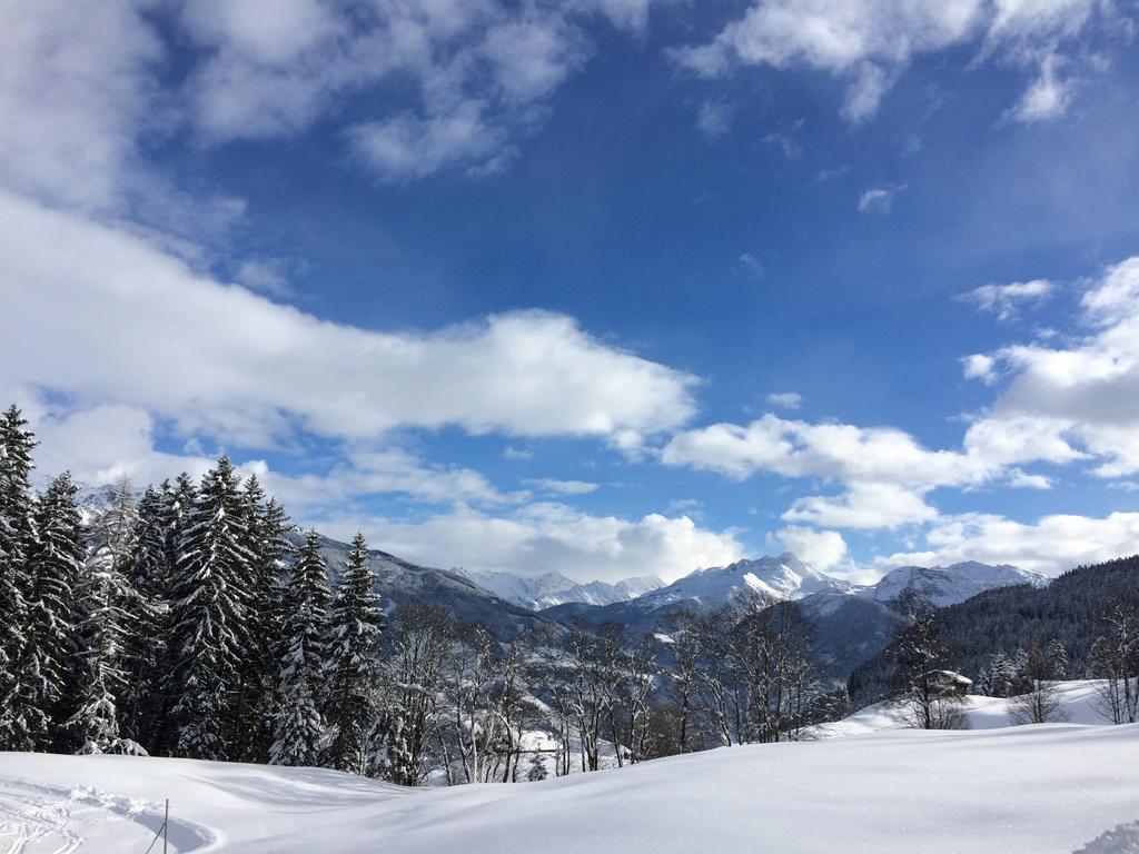 Martlerhof Apartman Aschau Im Zillertal Kültér fotó