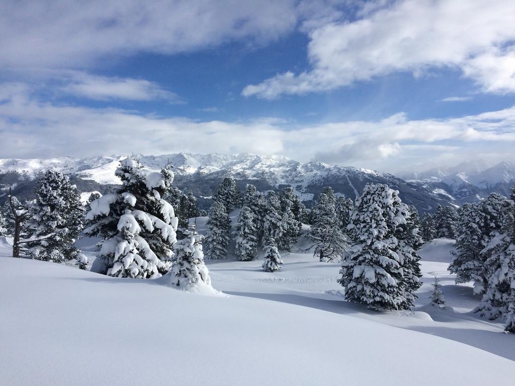 Martlerhof Apartman Aschau Im Zillertal Kültér fotó