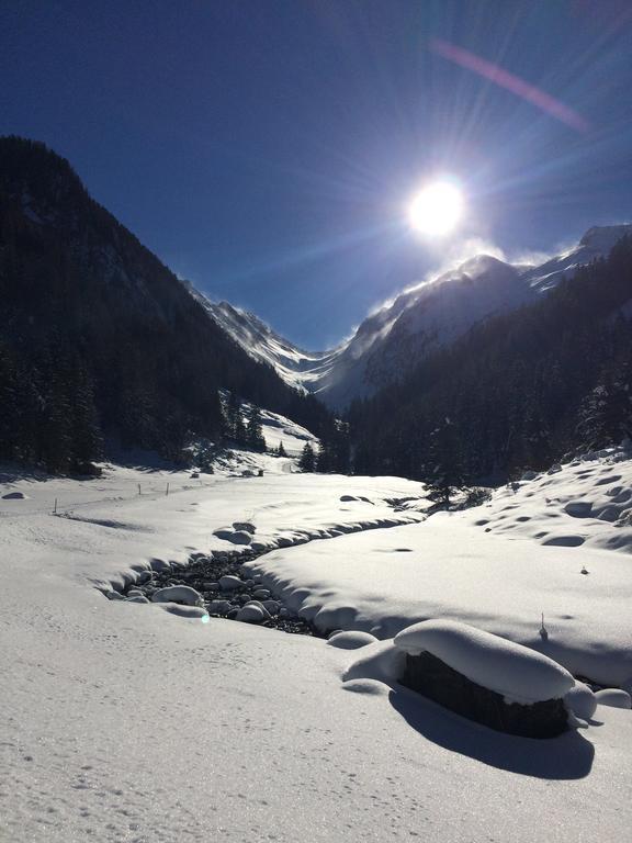 Martlerhof Apartman Aschau Im Zillertal Kültér fotó